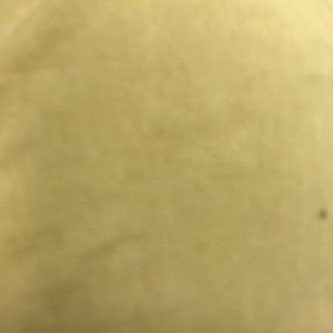 Meet your Posher, Joshua